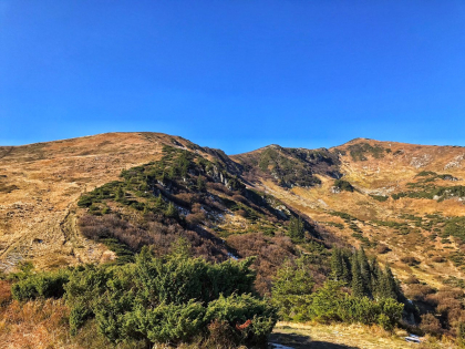 d_IMG_20181011_212421_771.jpg