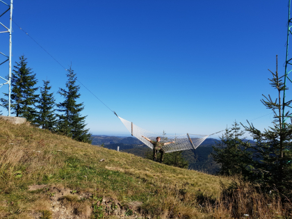 20181007_114636.jpg