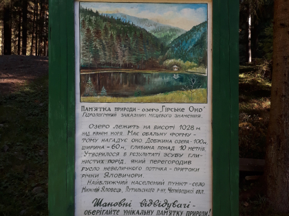 238.jpg