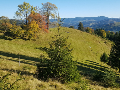 20181007_093552.jpg