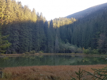 20181007_102331.jpg